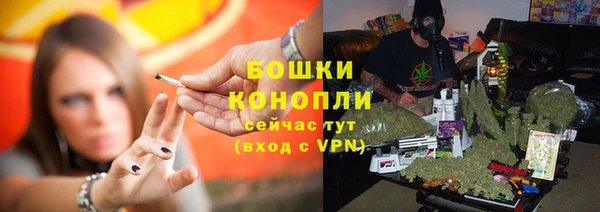 МДПВ Заводоуковск