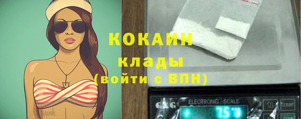 МДПВ Заводоуковск