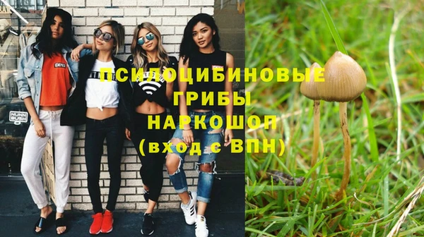 МДПВ Заводоуковск